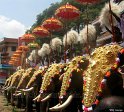 thrissur-pooram-2010 (57)